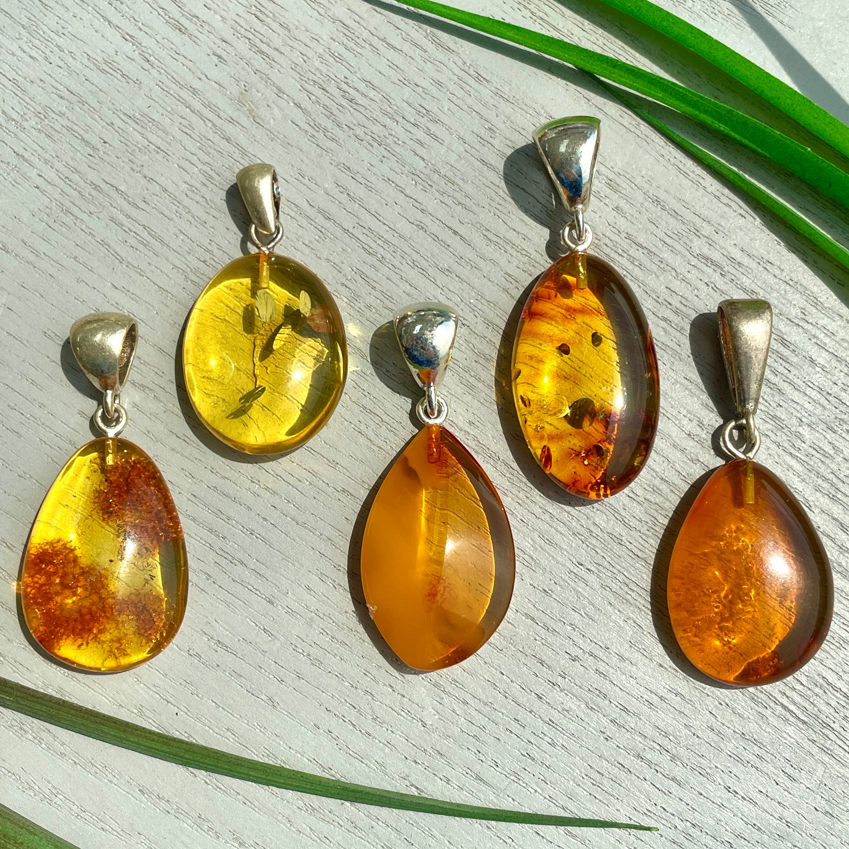 Amber Pendant - Style D Amber Pendant - Style D